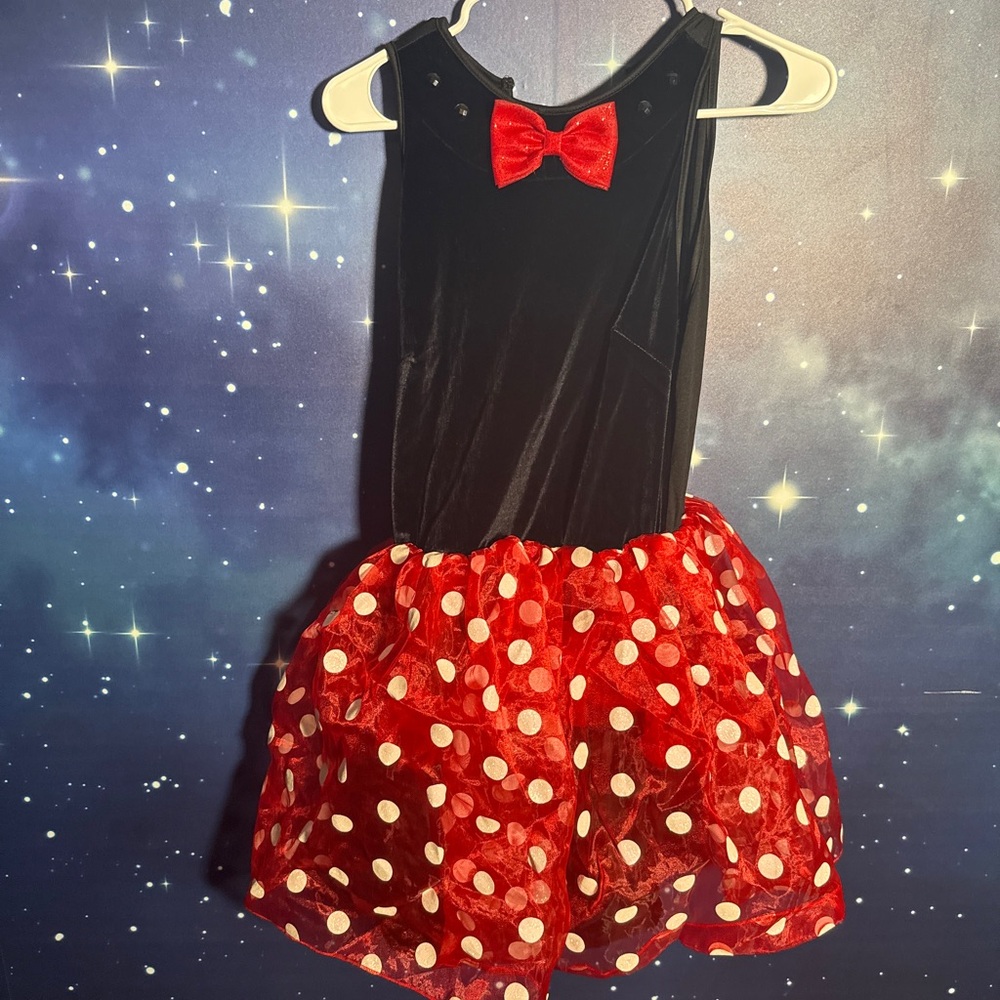 Disney Minnie mouse Halloween Costume - Adults